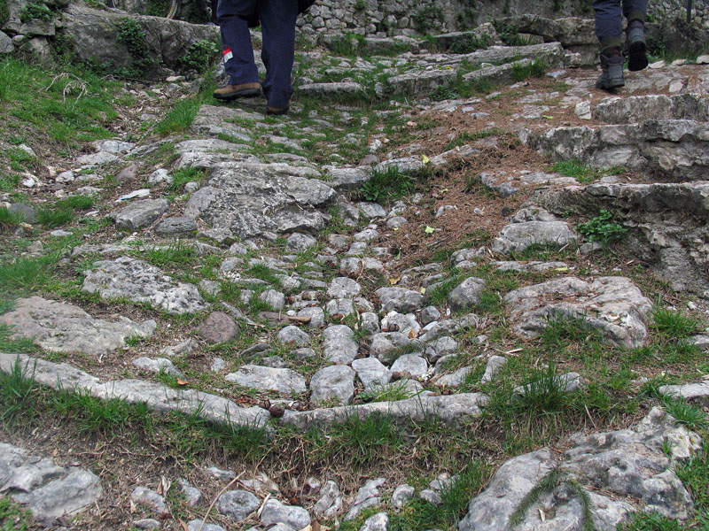 Domenica 5/4 Lago di Garda per orchidee (ex 29/3)